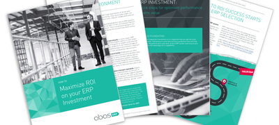 maximize ROI of ERP investment
